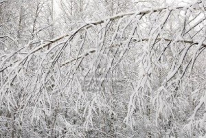 inverno1