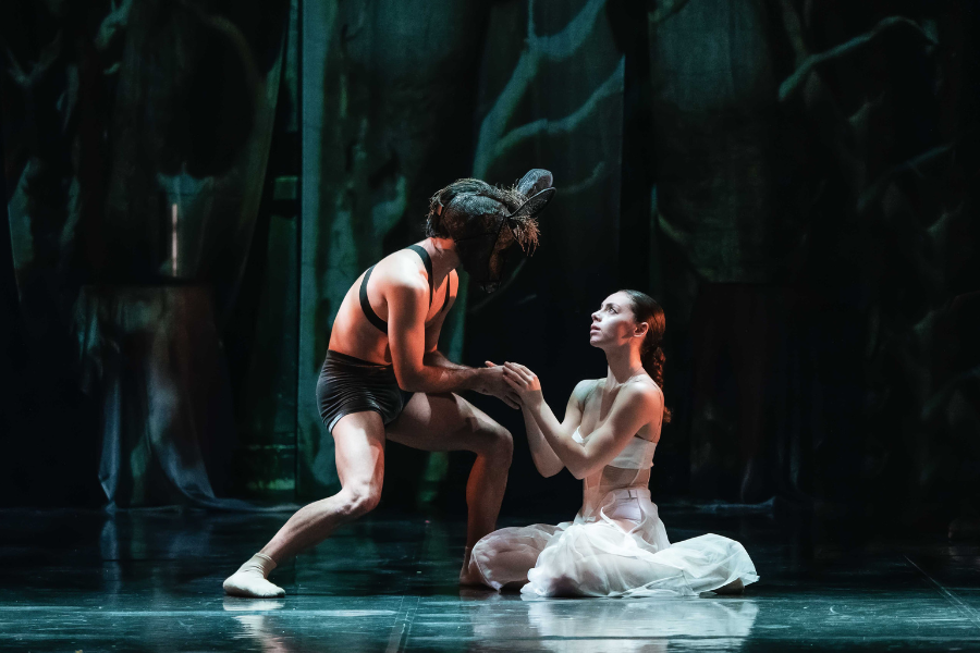 Sogno di una notte di mezz’estate